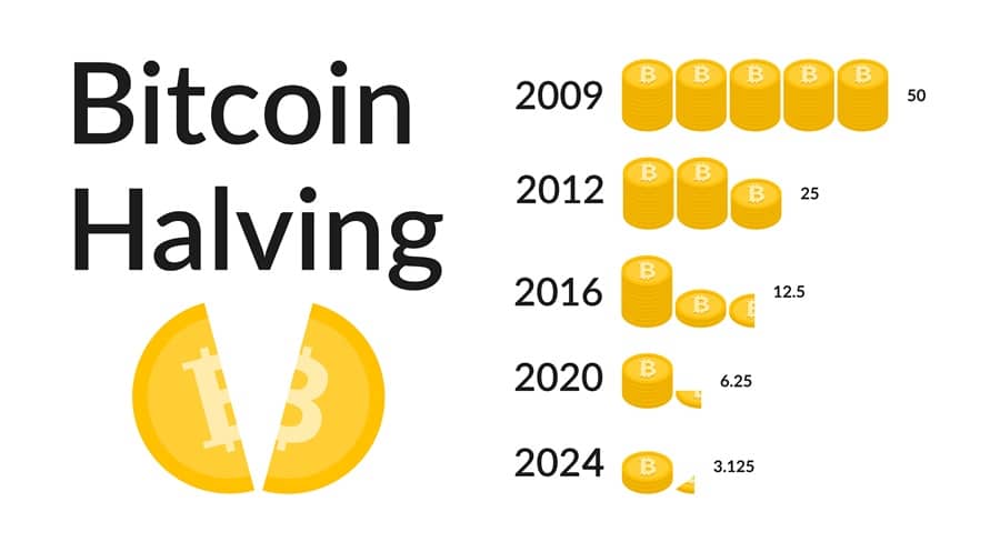 What's the Hype Around the Bitcoin Rally? 2024 Halving & Projections